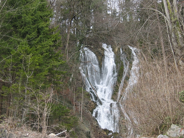 bild (9)
